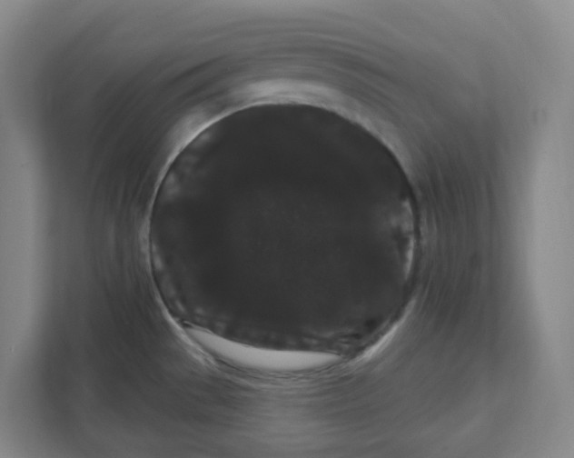 X0000111421529200908031255