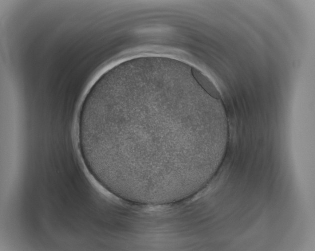 X0000111421531200908031255