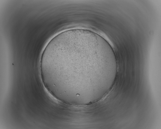 X0000111421532200908031255