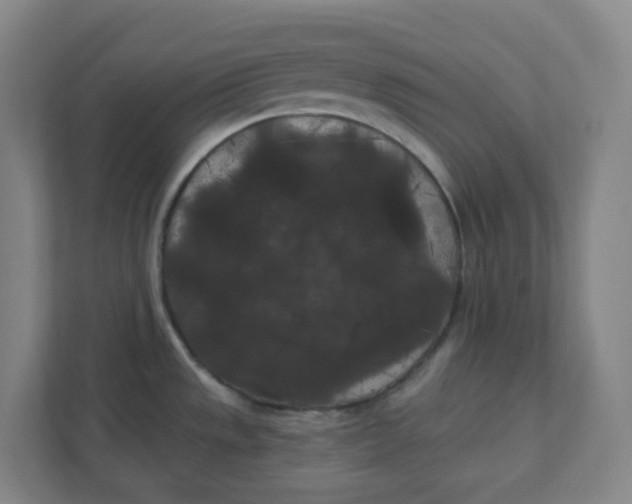 X0000111421533200908031255