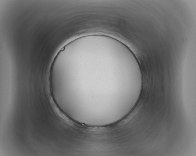 X0000111421534200908031255