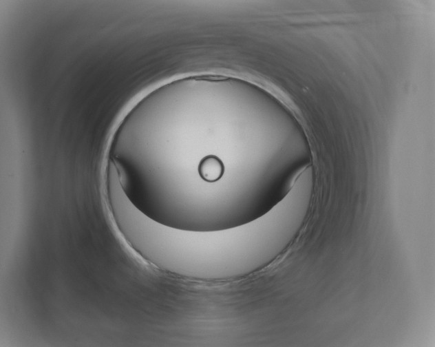 X0000111421536200908031255