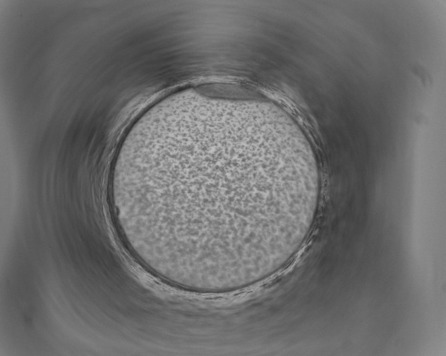 X0000111420001200908101105