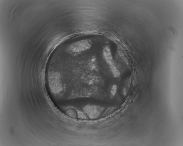 X0000111420002200908101105