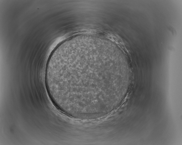 X0000111420003200908101105