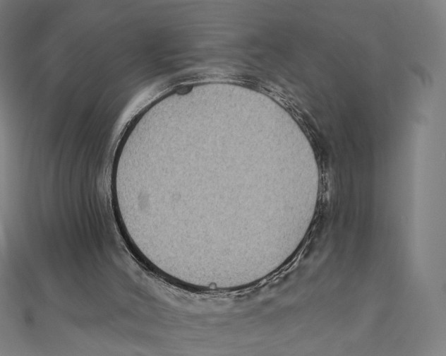 X0000111420004200908101105