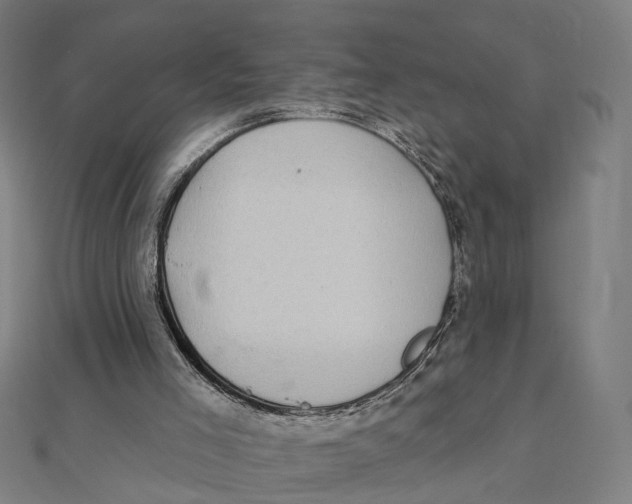 X0000111420005200908101105