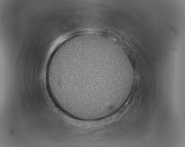X0000111420006200908101105