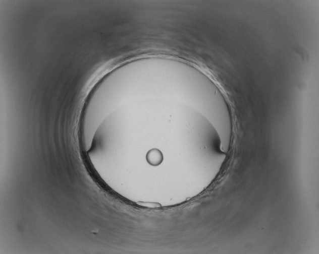 X0000111420007200908101105