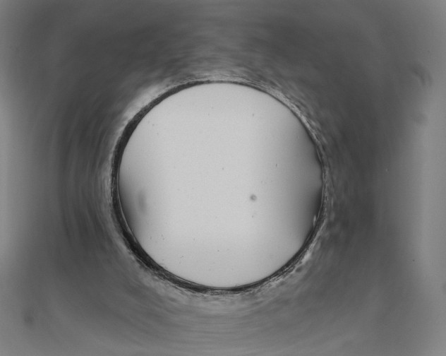 X0000111420008200908101105