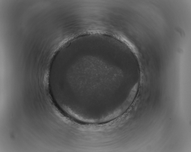 X0000111420009200908101105