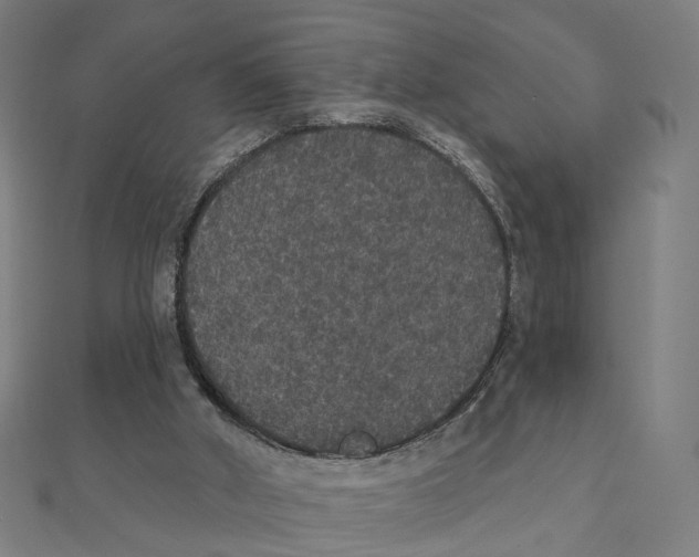 X0000111420010200908101105