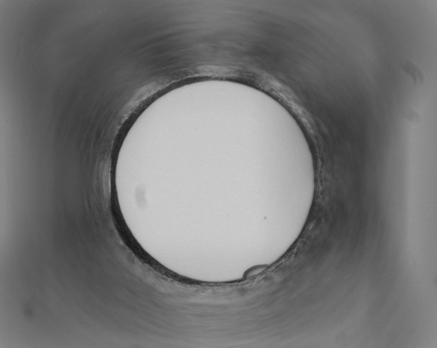 X0000111420011200908101105