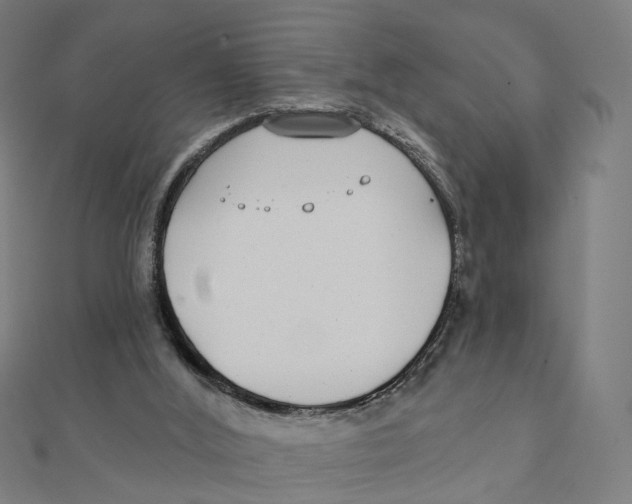 X0000111420012200908101105