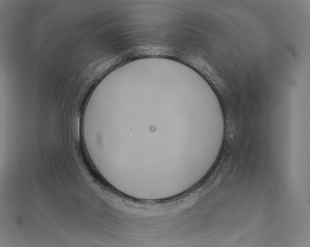 X0000111420014200908101105