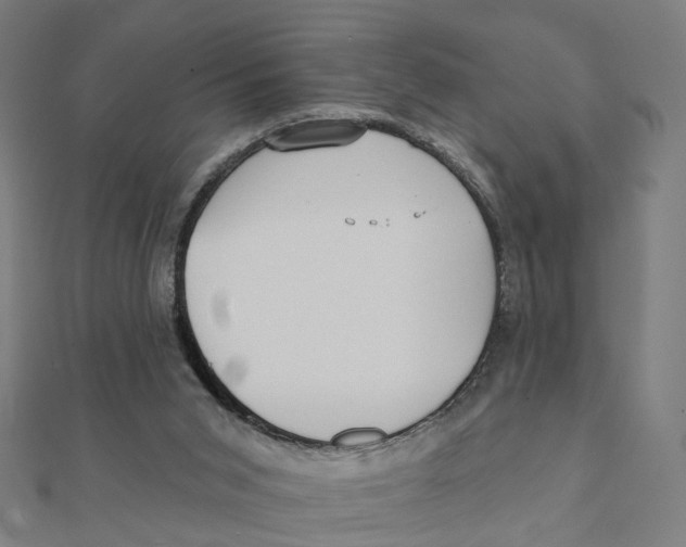 X0000111420015200908101105
