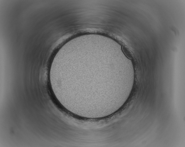 X0000111420016200908101105