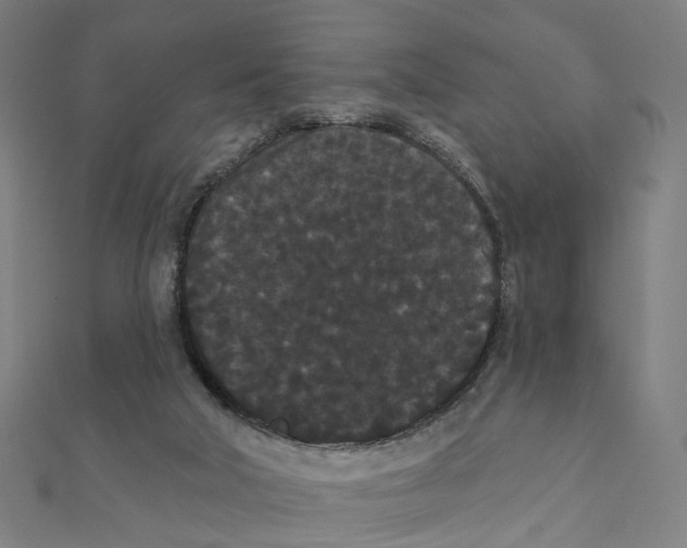 X0000111420018200908101105