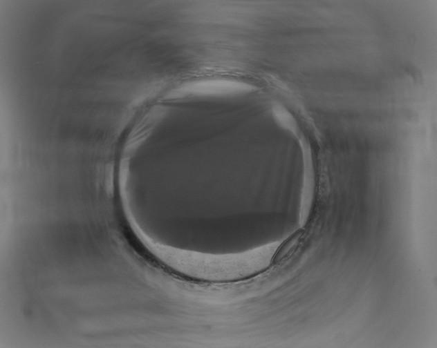 X0000111420019200908101105