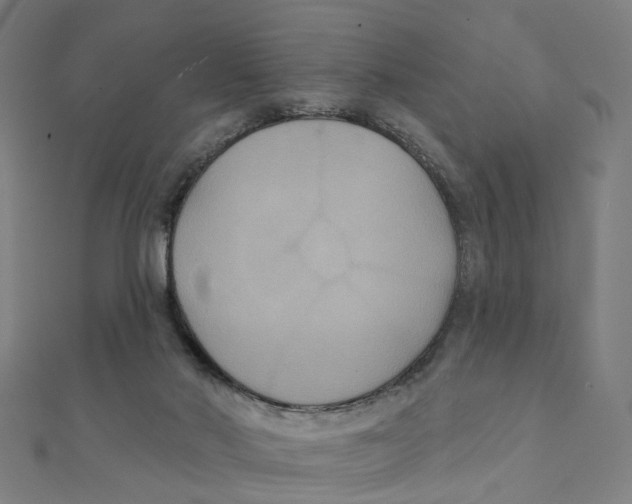 X0000111420022200908101105