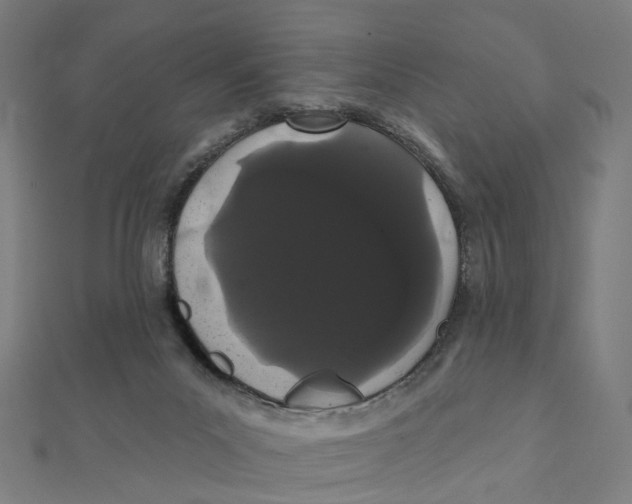X0000111420023200908101105