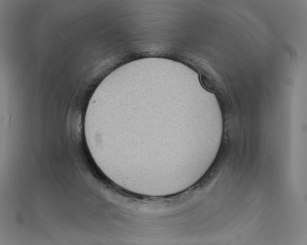 X0000111420024200908101105