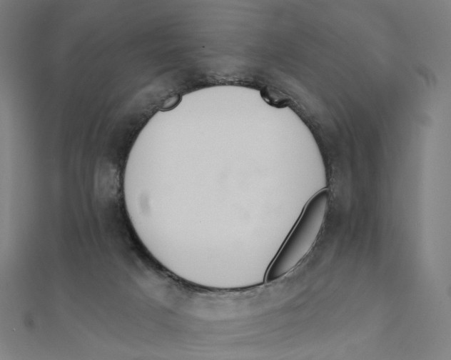 X0000111420025200908101105
