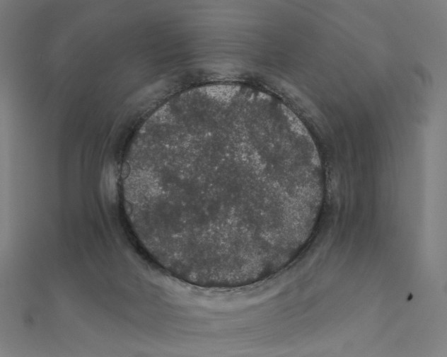 X0000111420026200908101105