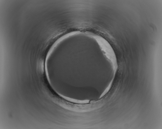 X0000111420027200908101105