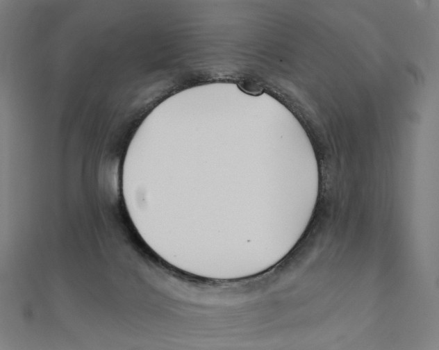 X0000111420028200908101105