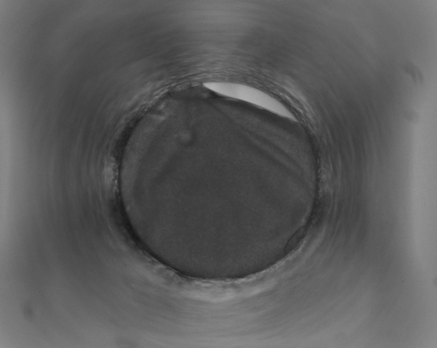 X0000111420029200908101105