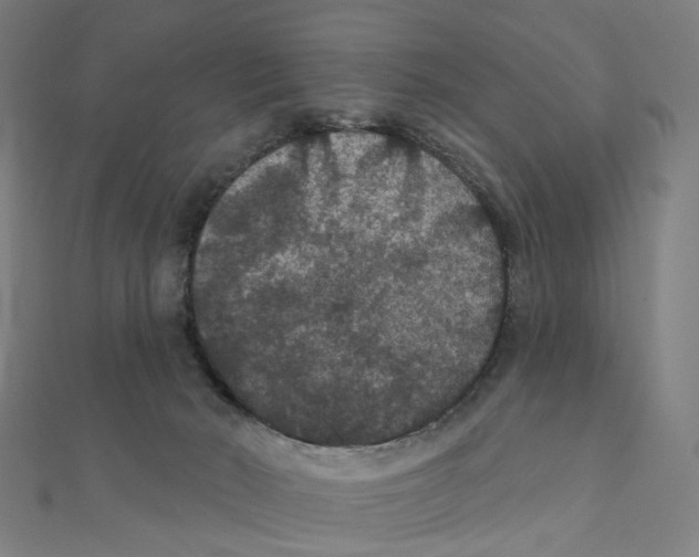 X0000111420030200908101105