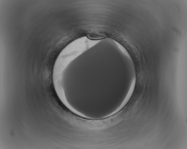 X0000111420031200908101105