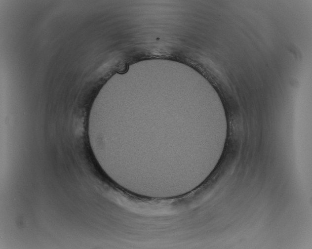 X0000111420032200908101105
