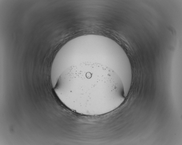 X0000111420033200908101105