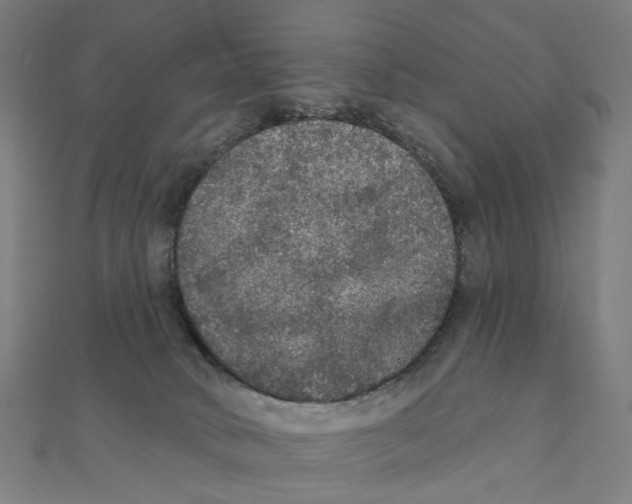 X0000111420034200908101105