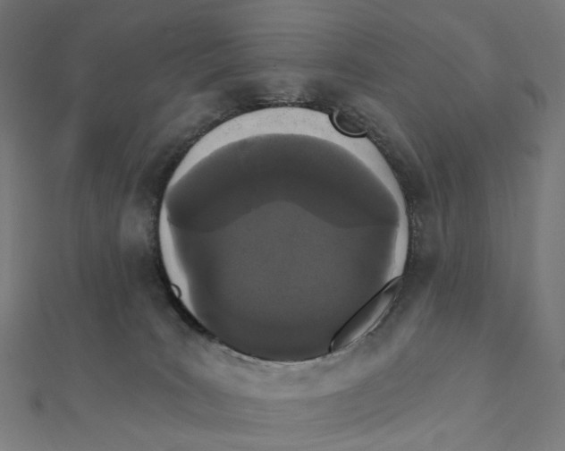 X0000111420035200908101105