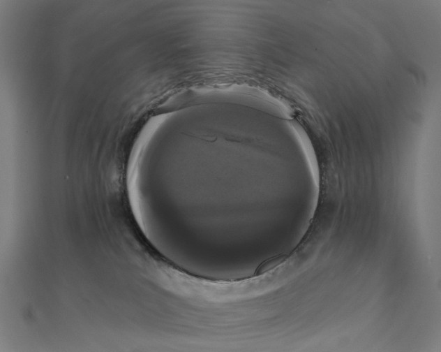 X0000111420039200908101105
