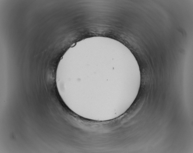 X0000111420040200908101105