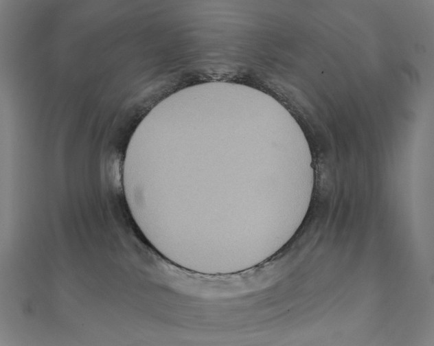 X0000111420042200908101105