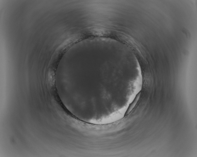 X0000111420043200908101105