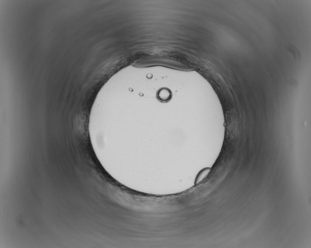 X0000111420044200908101105