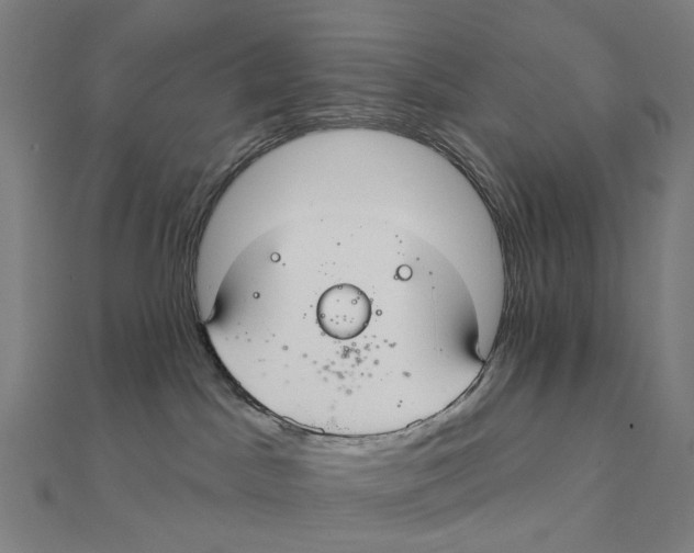 X0000111420045200908101105