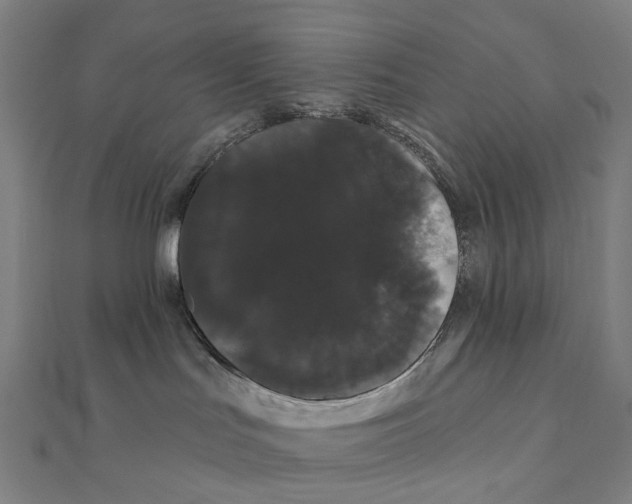 X0000111420047200908101104