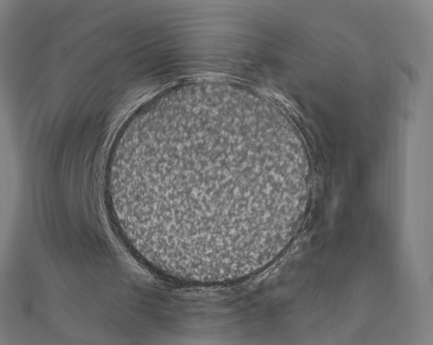 X0000111420049200908101104