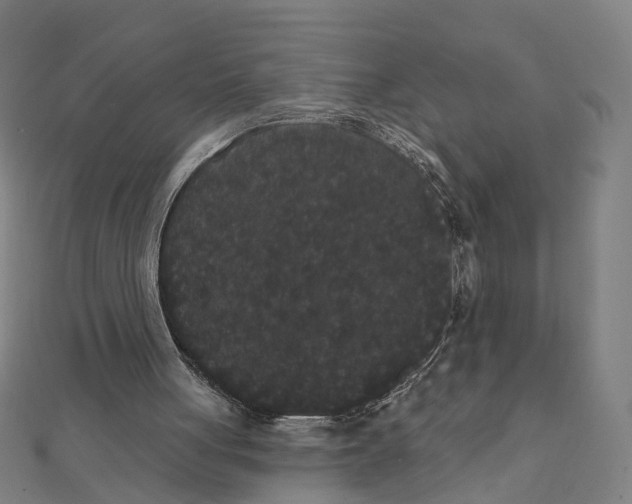 X0000111420051200908101104