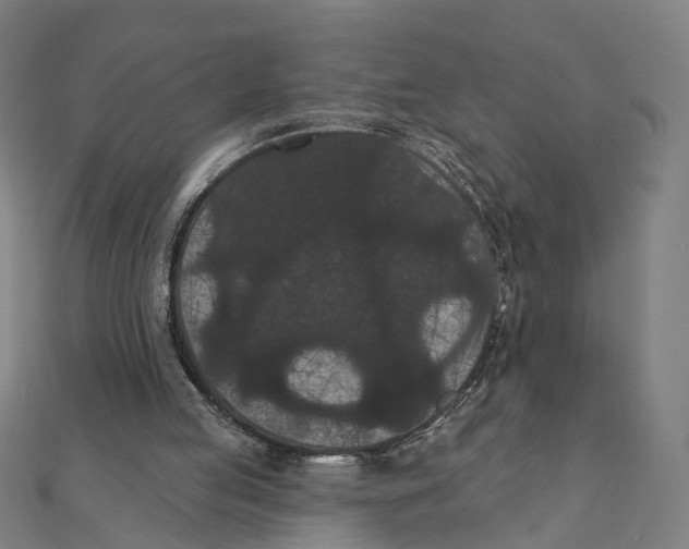 X0000111420053200908101104