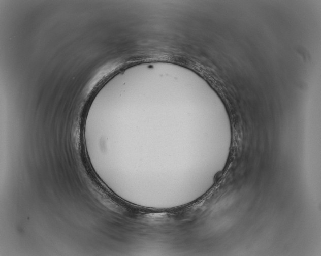 X0000111420054200908101104