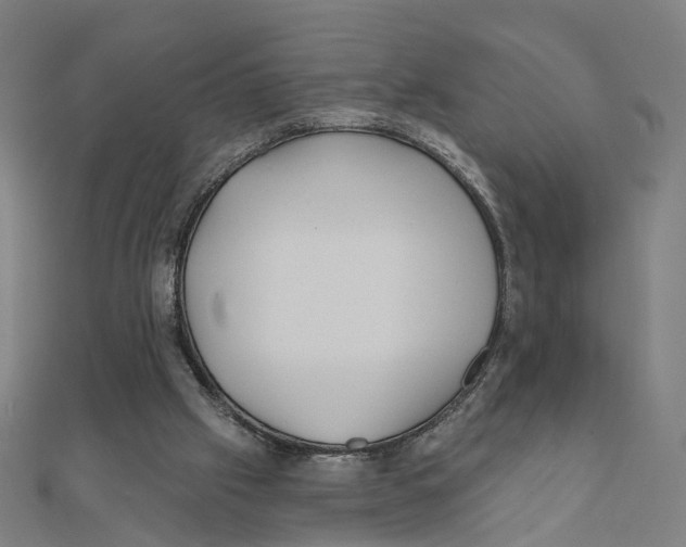 X0000111420057200908101104