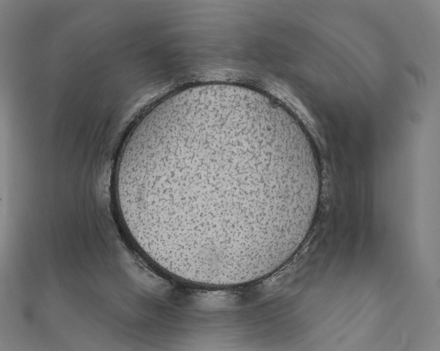 X0000111420058200908101104